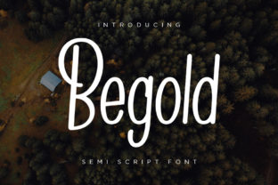 Begold: The Versatile Script Typeface for Modern Brand Identity