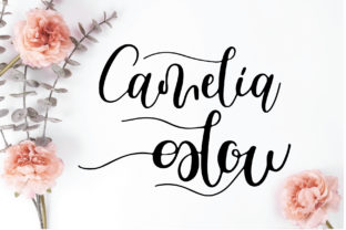 Camelia Glow: The Perfect Script Font for Handmade Product Branding