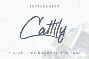 Cattily Font Review: A Cool Script for Modern Brand Identity