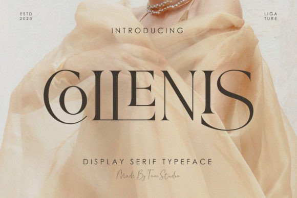 Collenis: The Serif Typeface That Elevates Campaign Visuals
