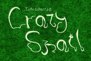 Crazy Snail: A Unique Script Font for Organic Brand Identity