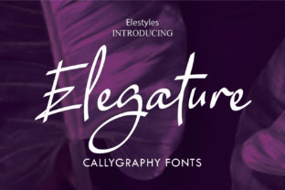 Elegature: The Script Font That Adds Authenticity to Campaigns