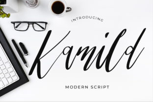 Kamild Typeface: Elevating Brand Identity with Abstract Script Style