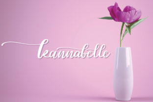 Kannabelle: A Playful Script Font for Modern Web Design